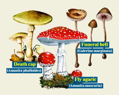 methode_times_prod_web_bin_f05a3e0c-77b9-11e7-b874-f49df312558b